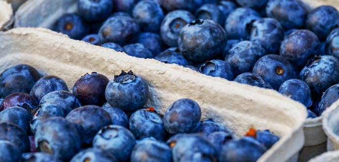 What are the prospects for U.S. blueberries in China?