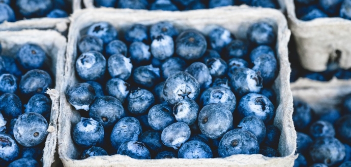 South Africa set for blueberry boom