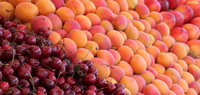 New Zealand growers should aim for smaller crops with larger fruit