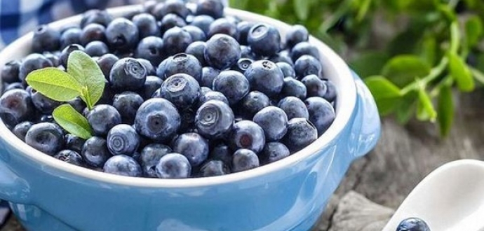 California Blueberry Commission announces support for Section 210 safeguard investigation