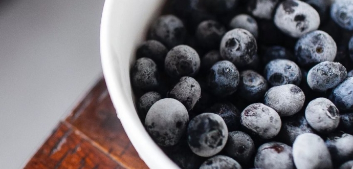 Why Chilling should be Compulsory for Processing IQF Blueberry 