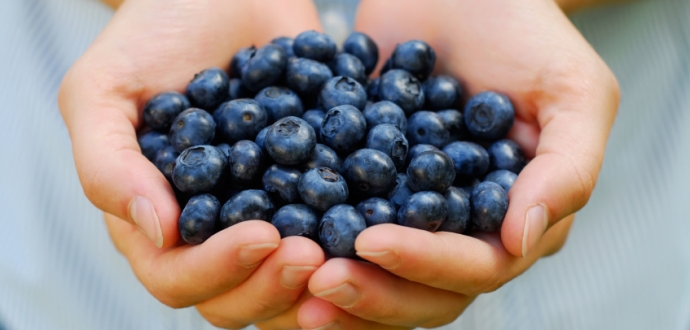 The pandemic has boosted the consumption of blueberry this season