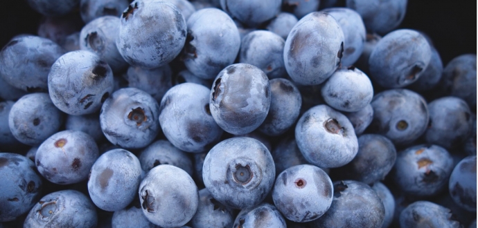 Argentine organic blueberry exports in 2019 increased by 70% per year