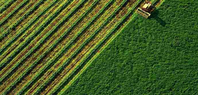 Референдум щодо продажу сільськогосподарської землі іноземцям буде проведено протягом найближчих 3 років — міністр АПК