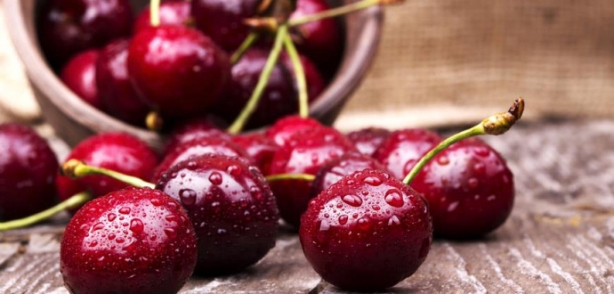 Chilean cherries on road to recovery