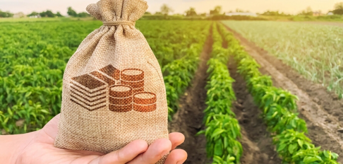 Законопроекти про фонд часткового гарантування кредитів та фермерські господарства підтримано аграрним фондом    