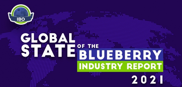 IBO's 2021 State of the Blueberry Industry Report offers advertising opportunities