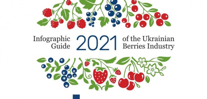 Ukrainian Berry Industry Infographic Guide