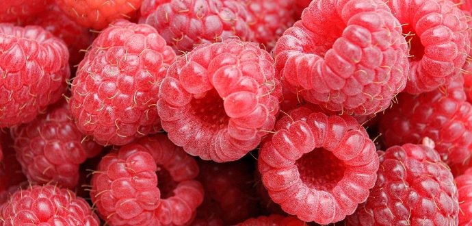 Strong start for Mexican raspberry exports