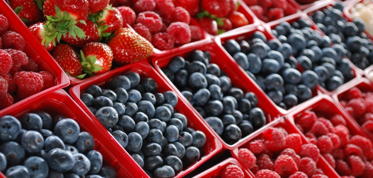 Ukraine strengthens its position in the international organic market