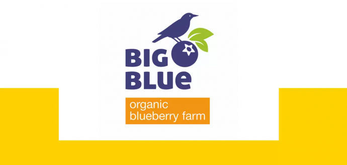 BigBlue увійшов до ТОП-15 найвпізнаваніших органічних брендів України
