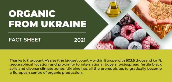 Ukraine is in the TOP – 5 countries in the world with the highest increase in organic increase in organic agricultural land 