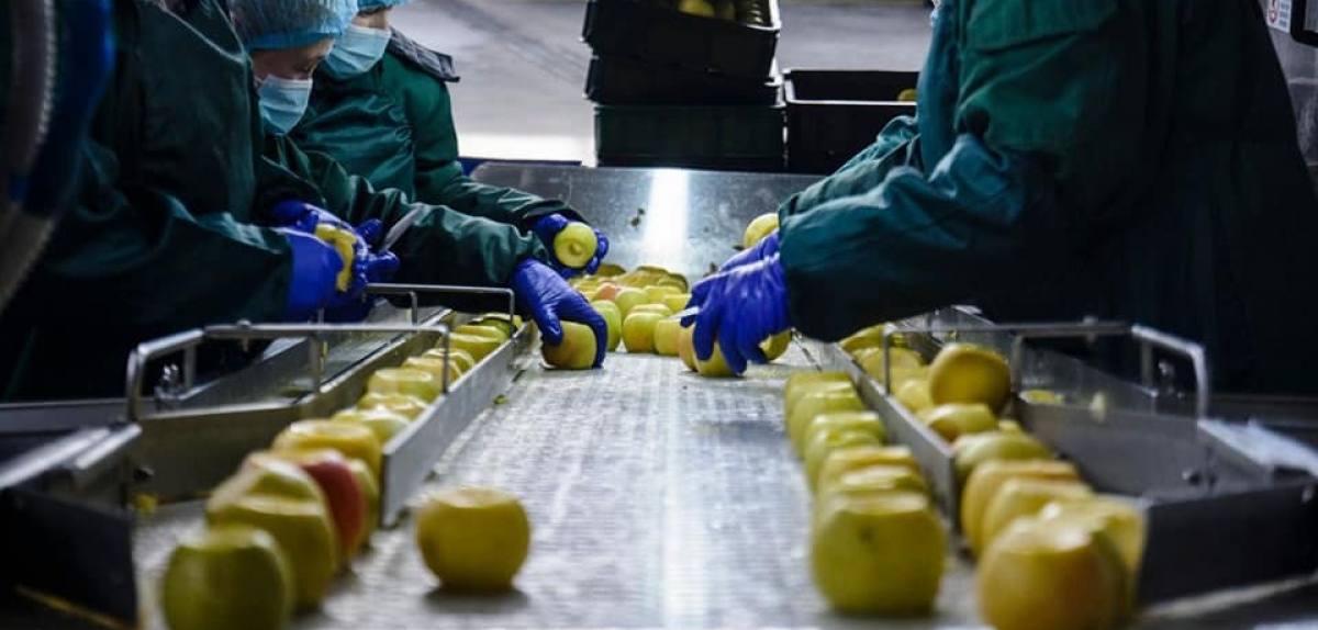 На Вінничині відкрили цех з виробництва фруктових наповнювачів