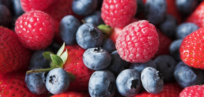 Mexican berry industry to grow substantially in 2022