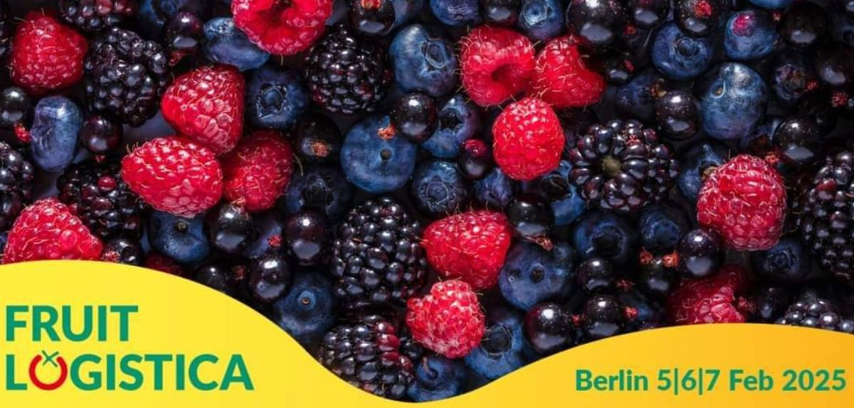 Асоціація “Ягідництво України” розпочала активну підготовку до участі у Fruit Logistica 2025 