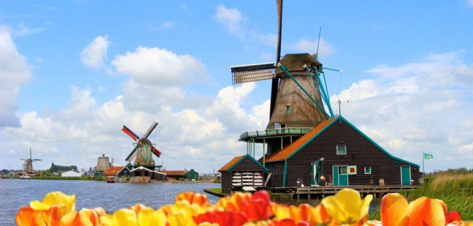 Call for Organic Sector Companies to Participate in a Business Tour to the Netherlands