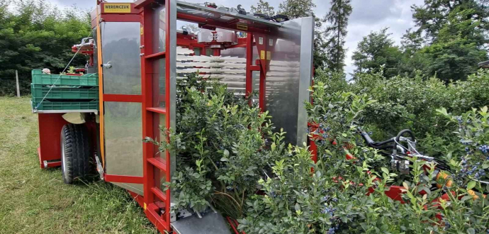 Комбайн KAREN - розумна інвестиція у збір лохини