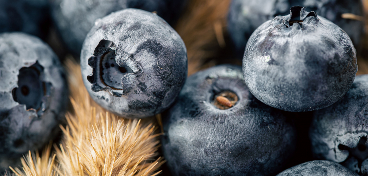  Global Blueberry Market 2025: Opportunities for Ukraine
