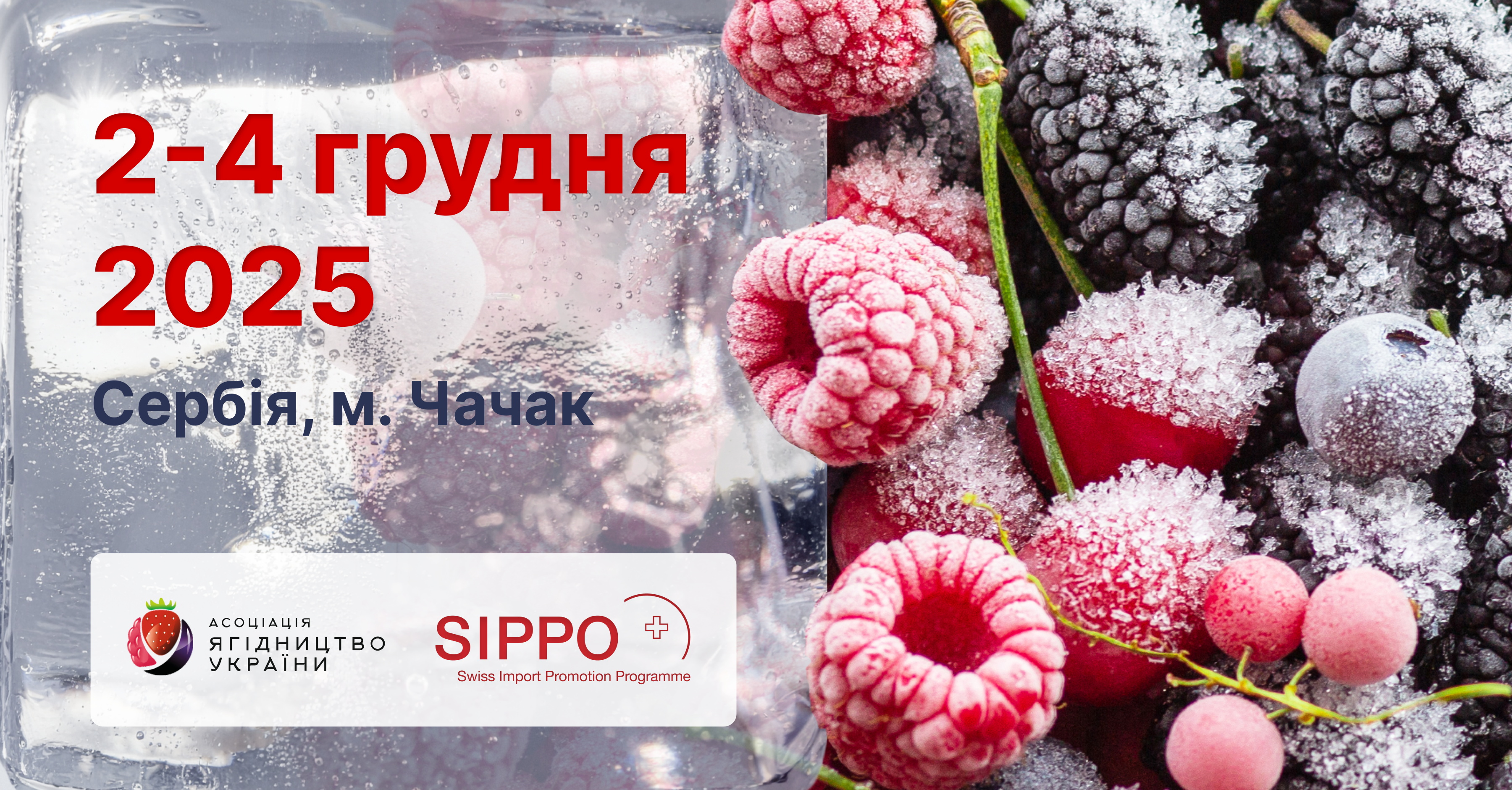 Бізнес-тур до Сербії для українських переробників ягідної продукції