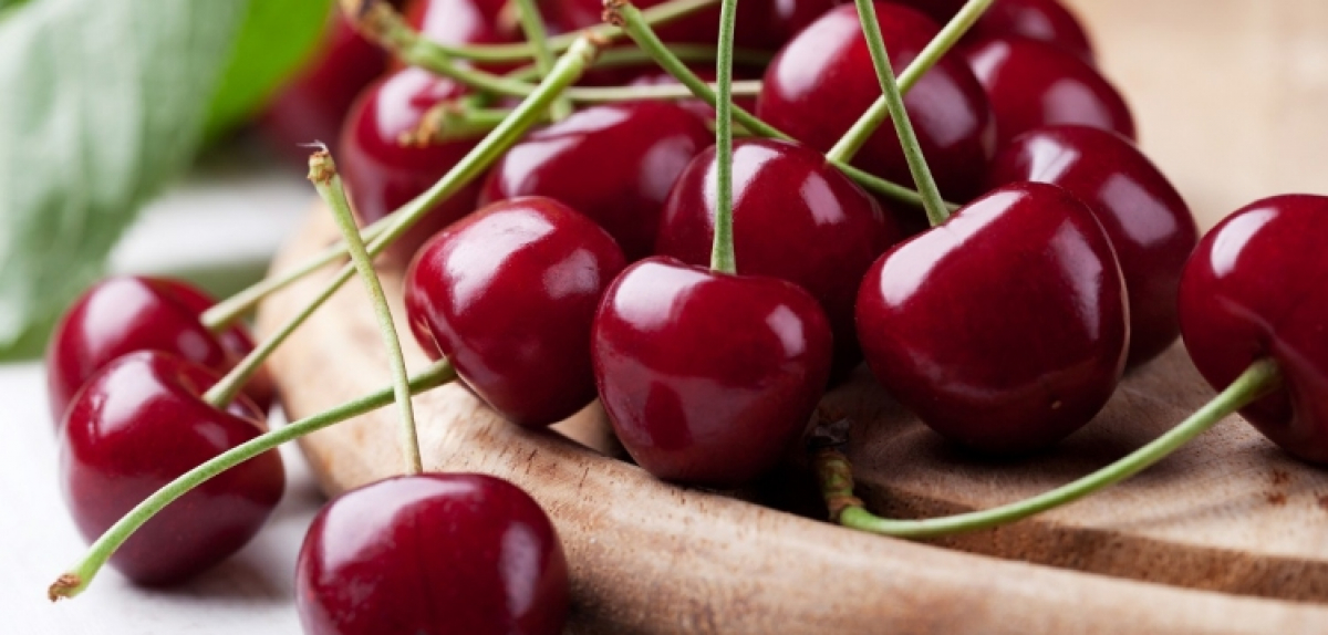 До 4000 грн можуть отримати учасники конкурсу на SmartBerry 2025