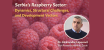 Serbia’s Raspberry Sector: Dynamics, Structural Challenges, and Development Vectors