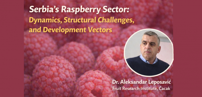 Serbia’s Raspberry Sector: Dynamics, Structural Challenges, and Development Vectors