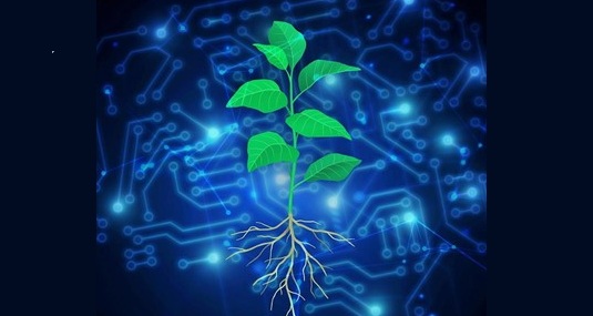 Technological advances in growing berries and vegetables in Ukraine and the world in 2025
