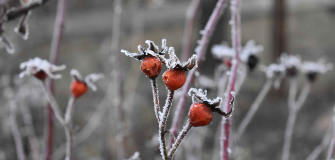 Аналітичний звіт за січень 2026