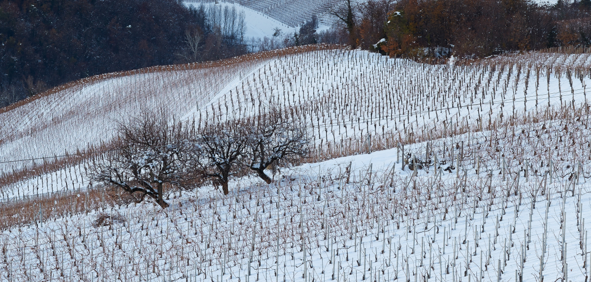 Аналітичний звіт за лютий 2026 