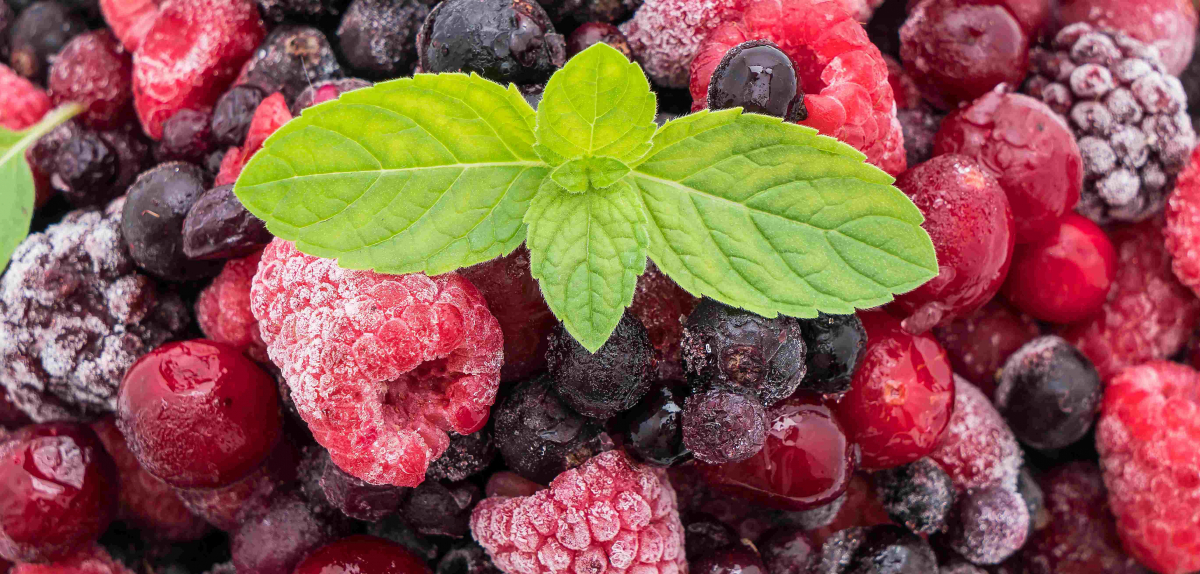 Retrospective Analysis of Frozen Berry Exports in 2025