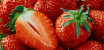 Higher Yields, Stronger Plants and More Profitable Berry Harvests