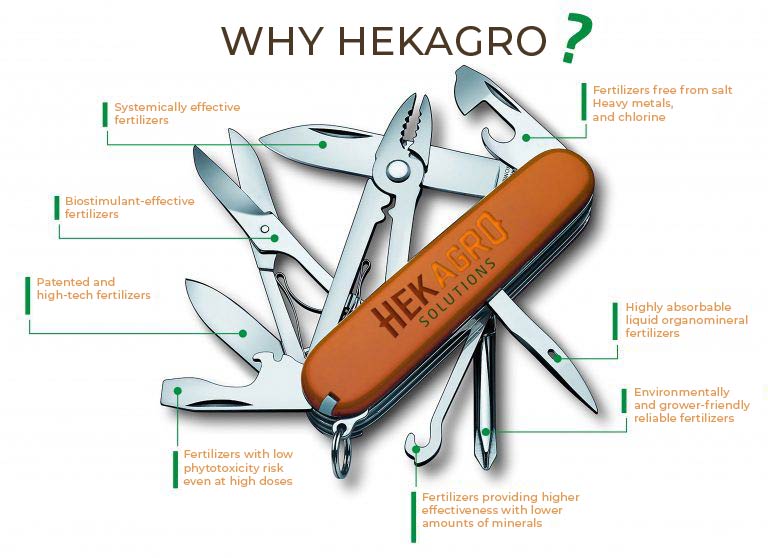 why hekagro