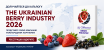 Каталог експортерів The Ukrainian Berry Industry 2026: реєстрація стартувала!