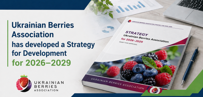Ukrainian Berries Association has Developed a Strategy of Development for 2026–2029