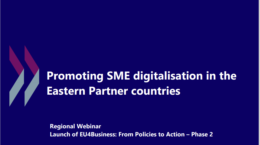  Promoting SME Digitalisation in the Eastern Partner countries