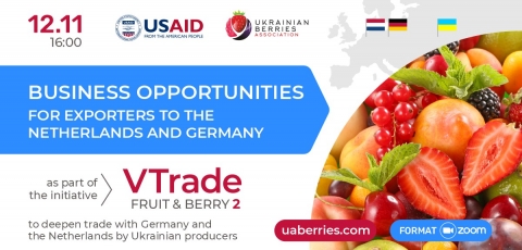 Webinar: Business opportunities for exporters to the Netherlands and Germany