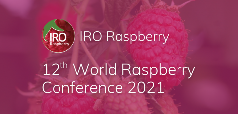 12 Всесвітня конференція малини IRO 