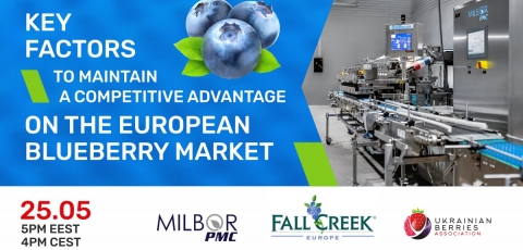 Webinar: «Key factors to maintain a competitive advantage on the European blueberry market»