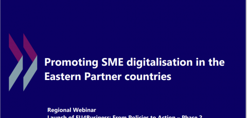  Promoting SME Digitalisation in the Eastern Partner countries